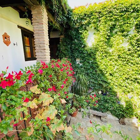 Posada La Casa Grande Jimena De La Frontera Dış mekan fotoğraf