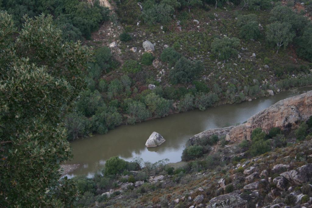 Posada La Casa Grande Jimena De La Frontera Dış mekan fotoğraf